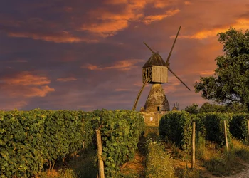 Frankreichs Kultur- & Geschmackserlebnisse