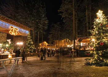 Waldweihnacht in der WaldEntdeckerWelt