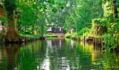 Hauptmerkmal ist die natürliche Flusslaufverzweigung der Spree, die durch angelegte Kanäle deutlich erweitert wurde. Als Auen- und Moorlandschaft besitzt sie für den Naturschutz überregionale Bedeutung und ist als Biosphärenreservat geschützt. Der S